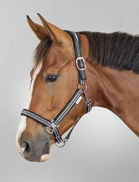 Halfter ATHLETIC asphalt/schwarz Pony