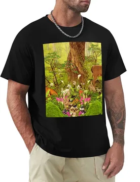 Wil Anderson - Wil Informed backdrop art T-Shirt Plus Size Everyday Tee Shirt - Aliexpress - FashionsVida