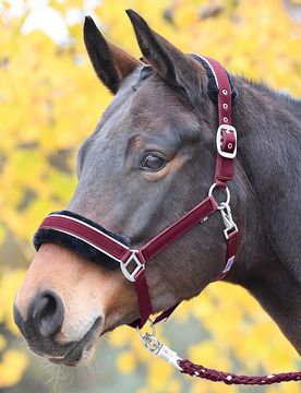 Halfter IDEAL, bordeaux-silber SH