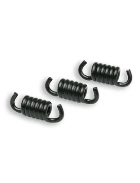 Molle Frizione 2,2 Nere Racing Per Frizioni Delta Fly Clutch Honda Sxr 50 2t - Malossi - FashionsVida