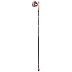 Bâtons de marche nordique Smart Flash gris 105