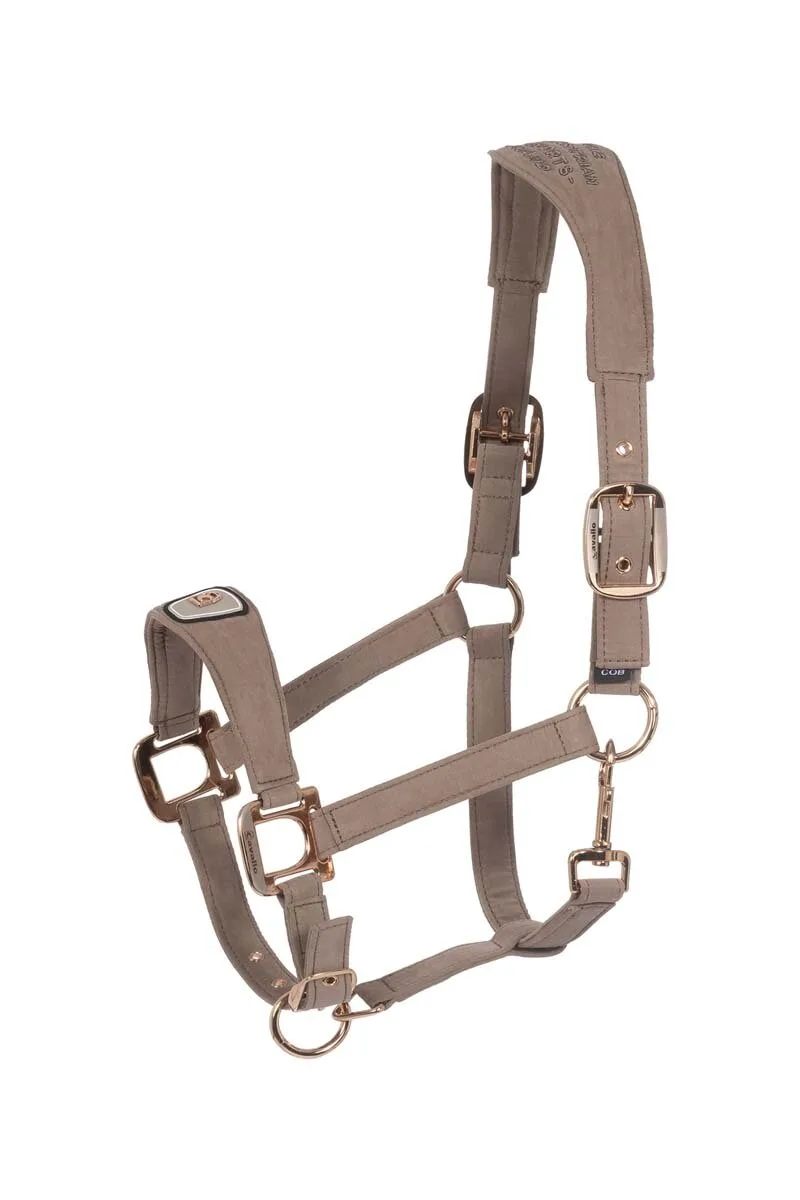 Halfter CAVALPAWEL mocha latte VB - Cavallo - FashionsVida