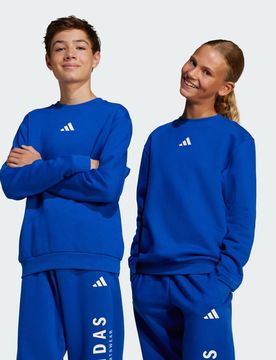 Felpa All SZN Graphic Crew Junior 13-14A Royal Blue / Royal Blue / Off White