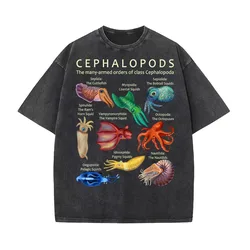 The Cephalopod Octopus Squid Cuttlefish and Nautilus Pure Cotton T-shirt For Man Oversized Art Graphic Clothing Printed