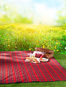 Pagen Picknick-Decke