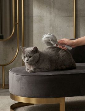 Spazzola per animali con spruzzatore - grigio chiaro