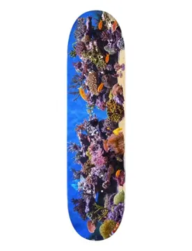 Planche De Skateboard Mini-logo Fish Tank Maple K20 8.5 unisex