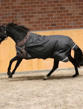 Manski Weidedecke 0g IRELAND 165 - Reitsport Manski - FashionsVida