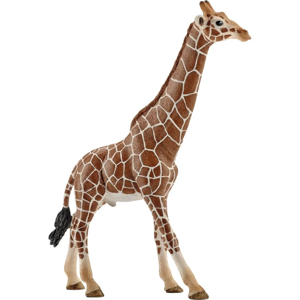 Figura Jirafa macho - Schleich - FashionsVida