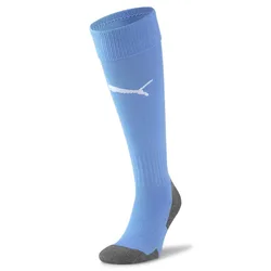 Socken Team Liga Core - Bleu - male - Size: 47/49