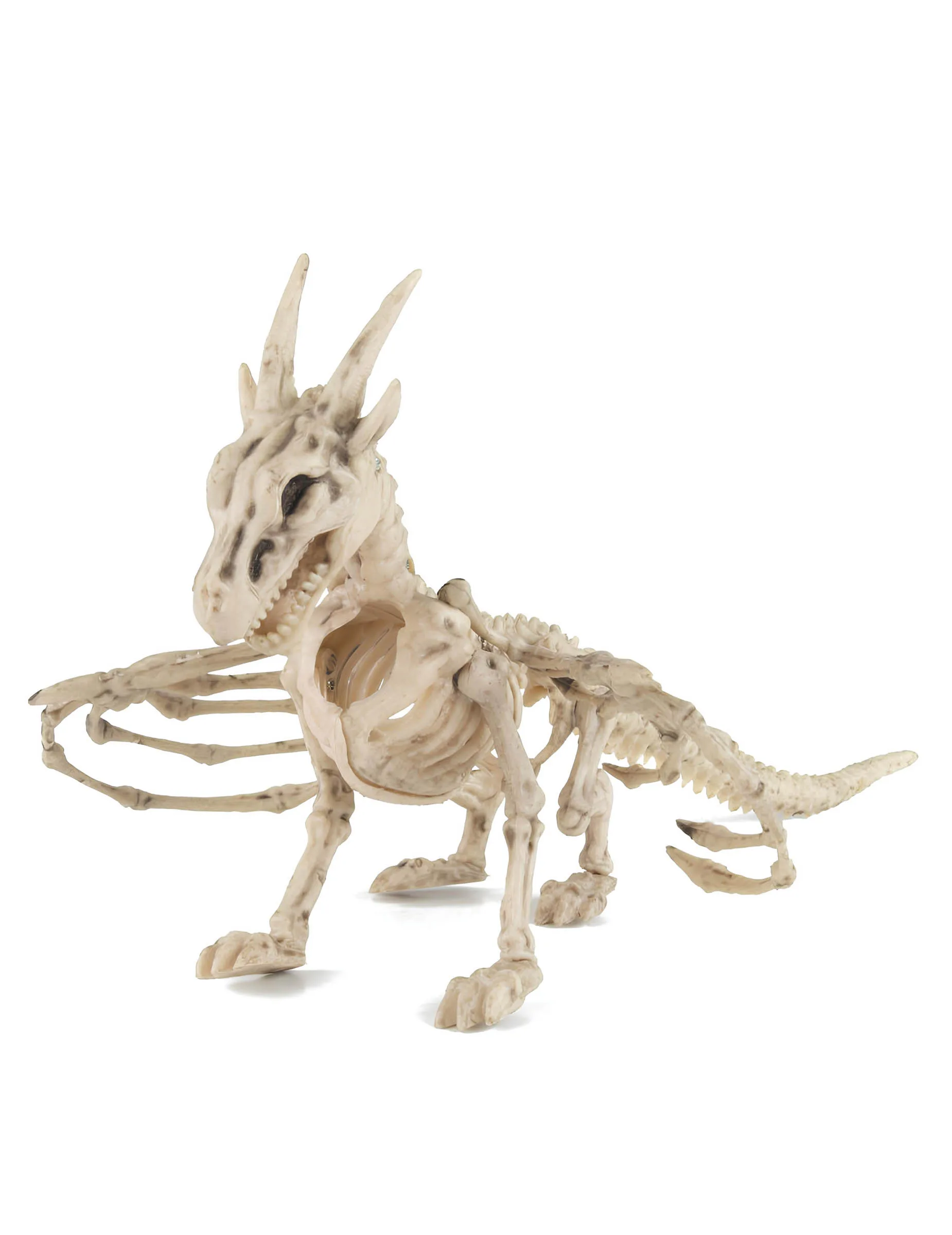 Drachenskelett 35 cm Halloween Deko - PARTYPRO - FashionsVida