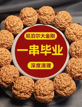 Nepalese Meat Texture Rudraksha Bracelet Natural Seed Single Circle Prayer Beads for Men and Women Gifts - Aliexpress - FashionsVida