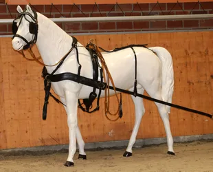 Manski Zweispänner Geschirr DIPLOMAT black/black COB