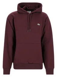 XXL SWEATSHIRTS A CAPUCHE HOM male