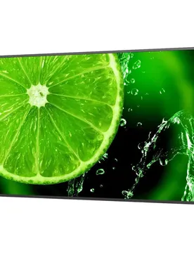 Écran Multisync E438 43´´ Uhd Led Black One Size unisex