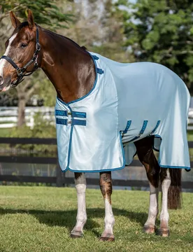 Fliegendecke AMIGO BUG BUSTER, azure blue/navy/electric - Horseware - FashionsVida