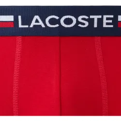 Pack de 3 calzoncillos de algodón elástico con logo en la cintura