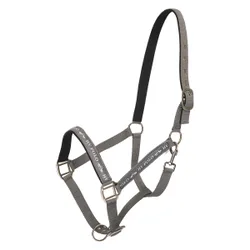 Halfter HVP NENA cloud grey Shetty