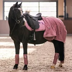 Fleecedecke IRH COSMIC SPARKLE classy pink 105
