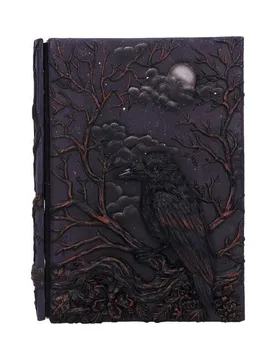 Mittelalter Notizbuch - Raven's Grimoire Journal - multicolor - None - unisex - Nemesis Now - FashionsVida