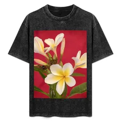 Frangipani Study T-Shirt Stylish Graphic Short Sleeve Top