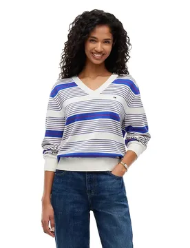Maglione Con Scollo A V Dw0dw23362 Noble Blue / Stripe L