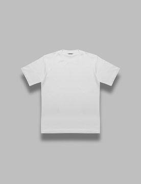 AURALEE luster plaiting tee