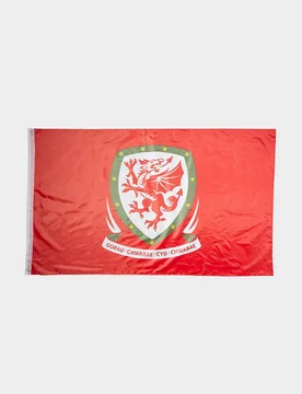 Wales FA Flagge, Weiss - unisex - Size: One Size - Forever Collectables - FashionsVida