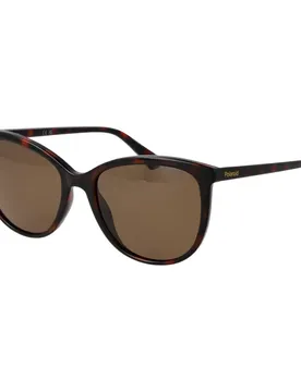 Lunettes De Soleil Polarisées Pld4138s55086 55/18/145 Havana Brown/CAT3