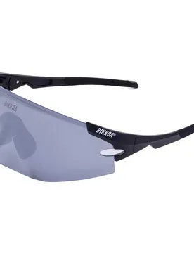 Occhiali Da Sole Aerion Silver CAT3