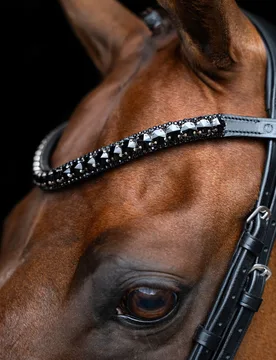 Stirnband IRH MAXIMA black Pony - Imperial Riding - FashionsVida