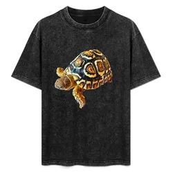 Tortoise Stunning Reptile T-Shirt Simple Casual Short Sleeve Tee