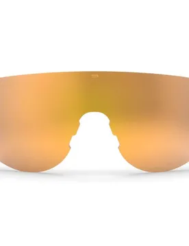 Occhiali Da Sole Blank Gold Gold/CAT3