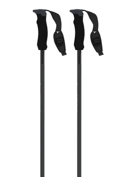 Pôles Amt Ultra Sqs Black / Champ Gold 105 cm