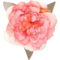 Pinza Con Flor Textil
