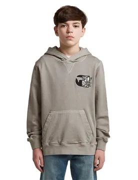 Sweat à Capuche D29807-01 Grey Alloy 12 Années Garçon