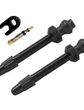 Coppia valvole tubeless + spillo di ricambio 60mm