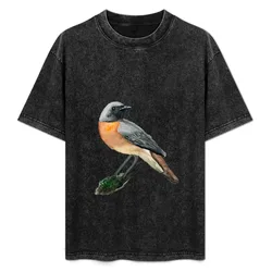 Redstart T-Shirt Quick Dry Training Short Sleeve Tee