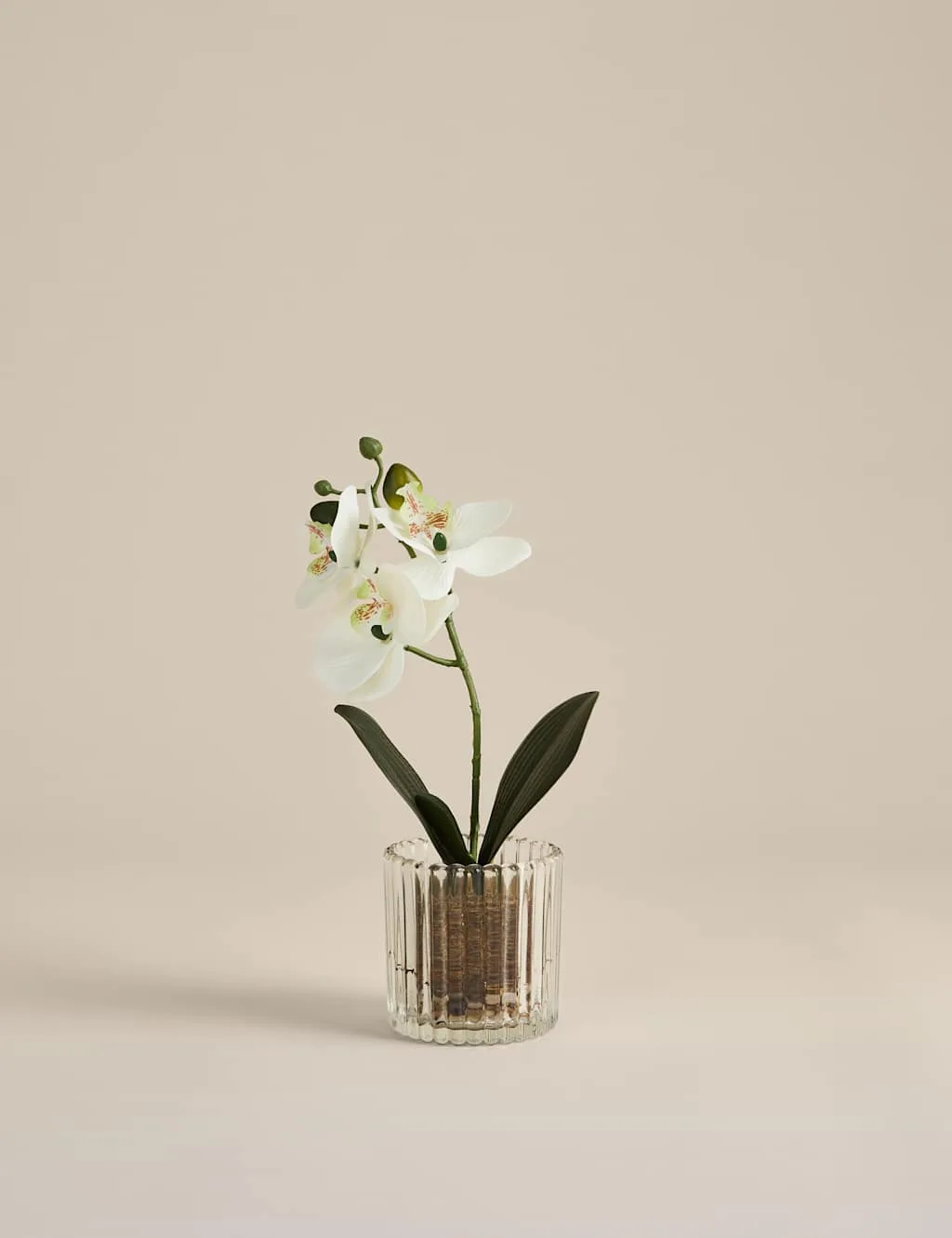 Artificial Small Orchid in Glass Pot White - M&S - FashionsVida