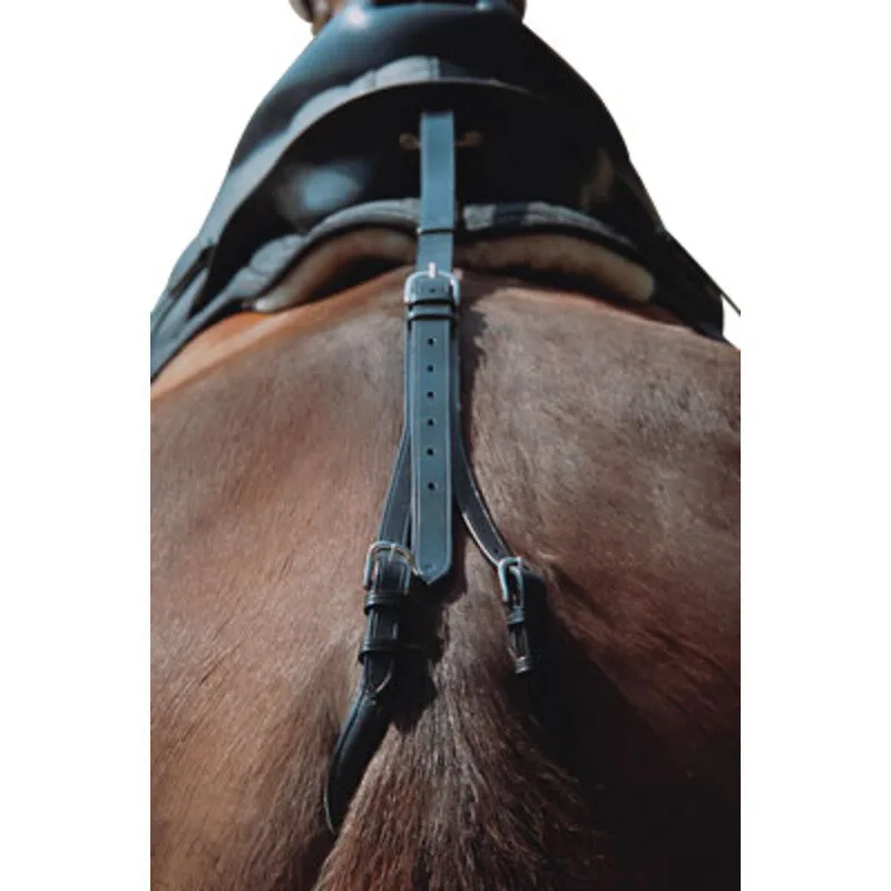 Schweifriemen Pony schwarz - Euroriding - FashionsVida