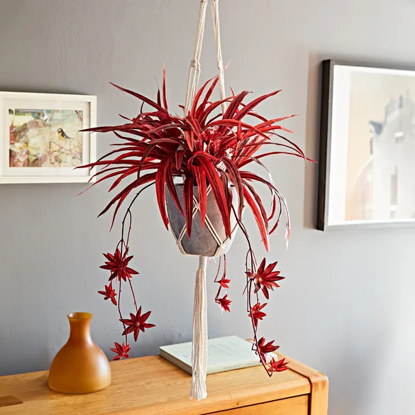 Makramee-Blumenampel mit Ziergras - Eldo - FashionsVida