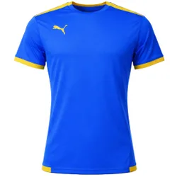 Teamliga Mens Blue Football Top Cotton - Size Small