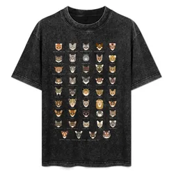 Cat Species Shirt T-Shirt Trendy Print Short Sleeve T-Shirt