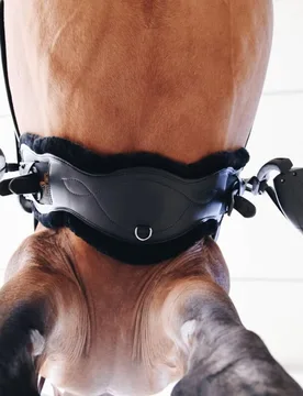 Anatomischer Lammfell-Kurzgurt schwarz 55 cm - Kentucky Horsewear - FashionsVida
