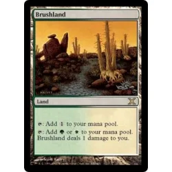Brushland (foil) 10th Edition