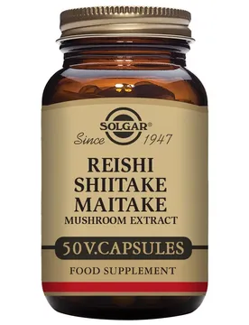 Champignon Reishi Shiitake Maitake 50 Unités