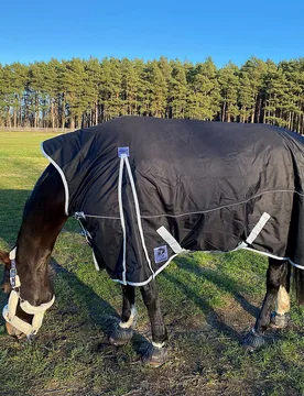 Manski Weidedecke DOMINATOR 0g, black 145 - Reitsport Manski - FashionsVida