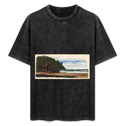 Big Sands T-Shirt Quick Dry Sports Short Sleeve Tee