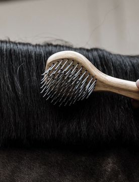 Grooming Deluxe Mähnenbürste
