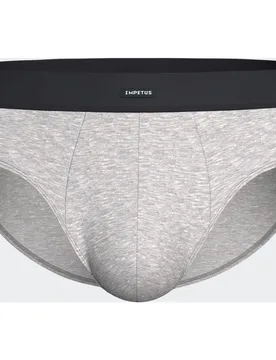 Pack de 3 slips de hombre en algodón - Impetus - FashionsVida